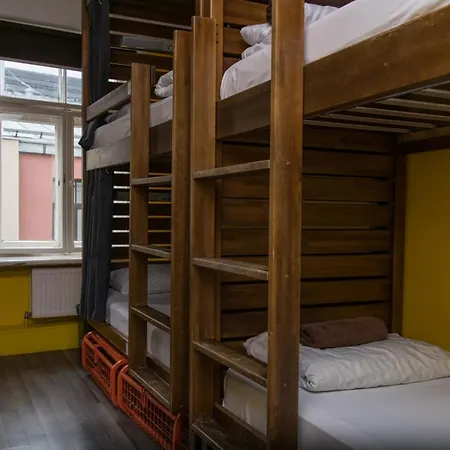 旅馆 顽皮松鼠背包客旅舍 *